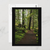 Weg zwischen Giganten Postkarte (Vorne/Hinten)