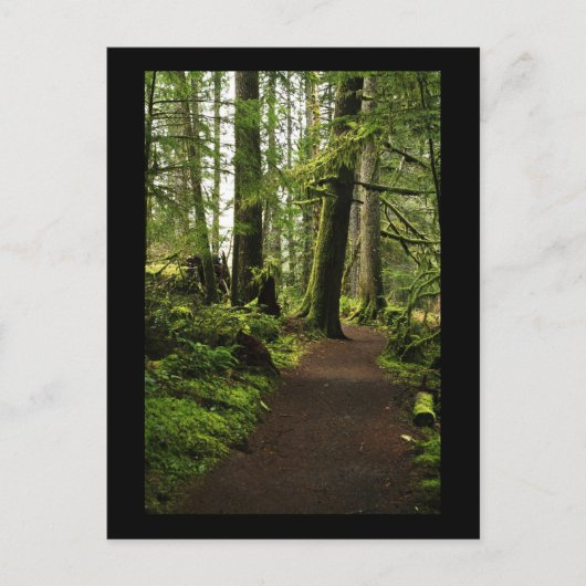 Weg zwischen Giganten Postkarte (Vorderseite)