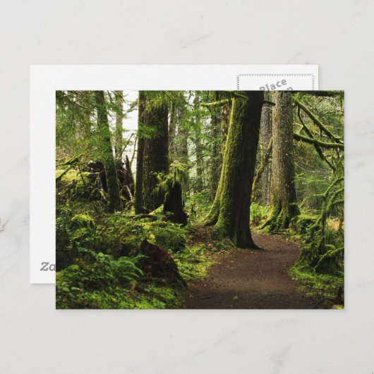 Weg zwischen Giganten Postkarte (Vorne/Hinten)