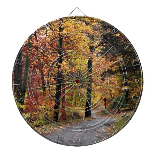 Wege Dartscheibe (vorne)