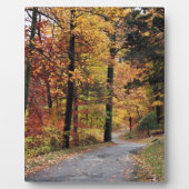 Wege Fotoplatte (Vorderseite)