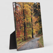 Wege Fotoplatte (Seite)