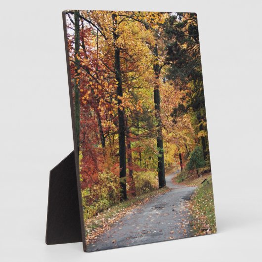 Wege Fotoplatte (Seite)