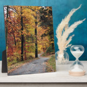 Wege Fotoplatte (Seite)