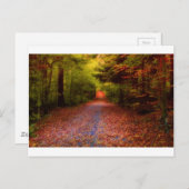 Wege in der Natur Postkarte (Vorne/Hinten)