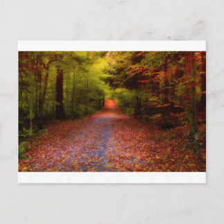 Wege in der Natur Postkarte