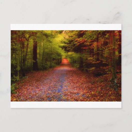 Wege in der Natur Postkarte (Vorderseite)