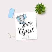 Wegen April Little Peanut Baby Boy Elephant