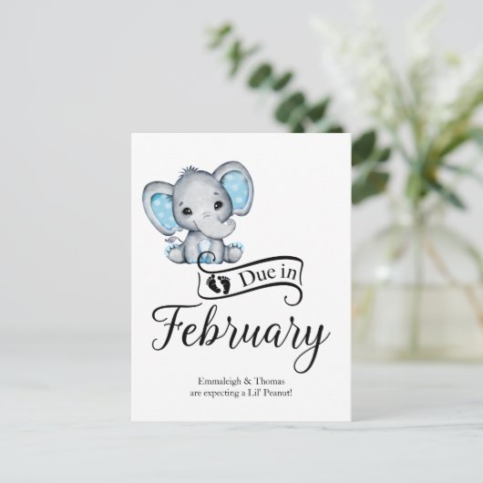 Wegen Februar Little Peanut Baby Boy Elephant Postkarte (Stehend Vorderseite)
