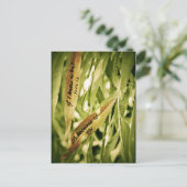 Wegen Ihnen (Liebe) Postkarte (Stehend Vorderseite)