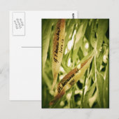 Wegen Ihnen (Liebe) Postkarte (Vorne/Hinten)