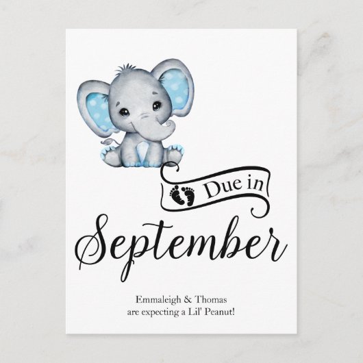 Wegen September Little Peanut Baby Boy Elephant Postkarte (Vorderseite)