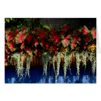 Wegerzyn Garten-Center #34