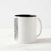 Wegfahren Zweifarbige Tasse (VorderseiteRechts)