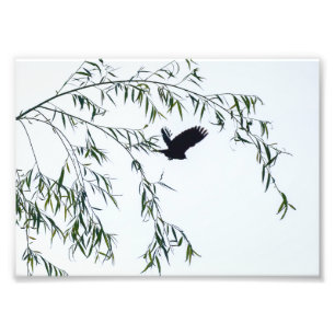 Wegfliegen Fotodruck