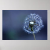 weggeblasen poster (Vorne)