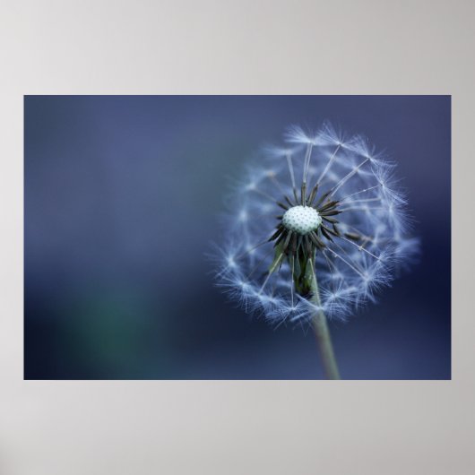 weggeblasen poster (Vorne)