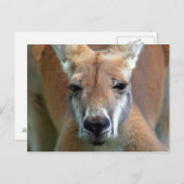 weggehen postkarte (Vorne/Hinten)