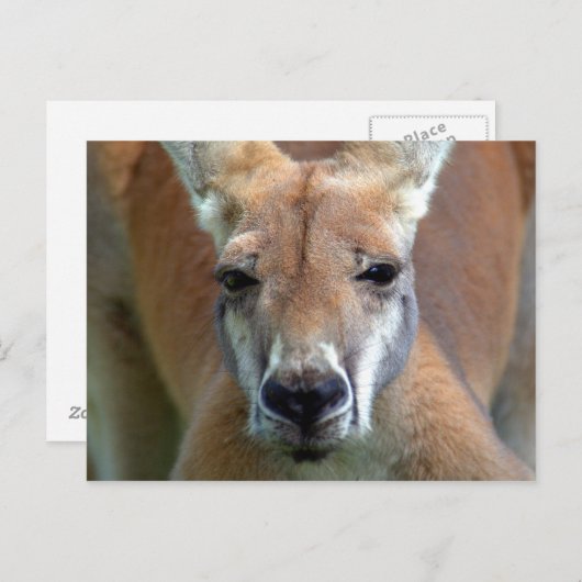 weggehen postkarte (Vorne/Hinten)