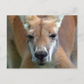 weggehen postkarte (Vorderseite)