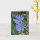 Wegwarte-Karte Karte (Gelbe Blume)