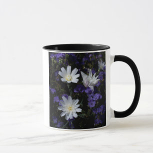 Wegwarte- und Büschelschön-Wildblumen Tasse