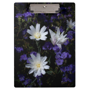 Wegwarte und Phacelia Wildblumen Klemmbrett