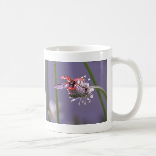 WegZuhause der Fliege Kaffeetasse (Rechts)