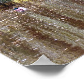 Wehe Willow Reflection Poster (Ecke)