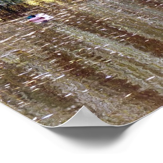 Wehe Willow Reflection Poster (Ecke)