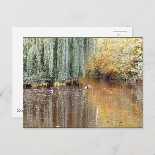 Wehe Willow Reflection Postkarte (Vorne/Hinten)