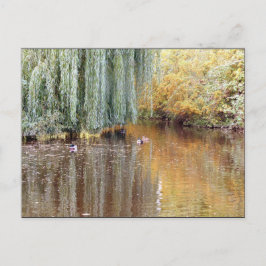 Wehe Willow Reflection Postkarte