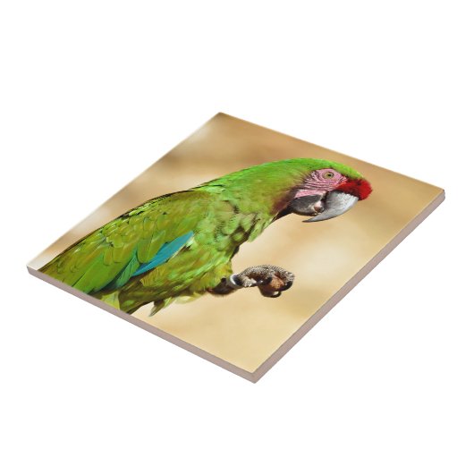 Wehrmaas Fliese (Seite)