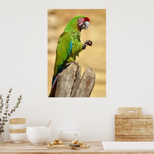 Wehrmaas Poster (Küche)