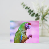 Wehrmaas Postkarte (Stehend Vorderseite)