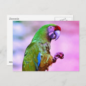 Wehrmaas Postkarte (Vorne/Hinten)