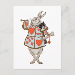Weißes Kaninchen Alice*S Abenteuer Postkarte