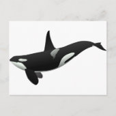Weibchen aus schwarzem und weißem Orca Killer Postkarte (Vorderseite)
