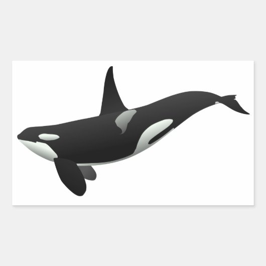 Weibchen aus schwarzem und weißem Orca Killer Rechteckiger Aufkleber (Vorderseite)