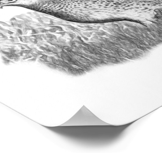 weiblich Fasant Poster (Ecke)