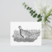 weiblich Fasant Postkarte (Stehend Vorderseite)