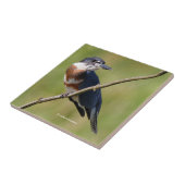 Weiblich gezogener Kingfisher Ausgesteift an der L Fliese (Seite)