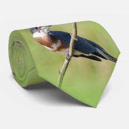Weiblich gezogener Kingfisher Ausgesteift an der L Krawatte