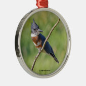 Weiblich gezogener Kingfisher Ausgesteift an der L Ornament Aus Metall (Rechts)