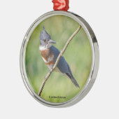 Weiblich gezogener Kingfisher Ausgesteift an der L Ornament Aus Metall (Links)