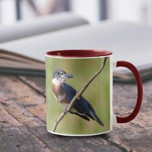 Weiblich gezogener Kingfisher Ausgesteift an der L Tasse