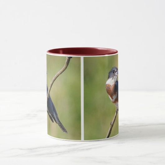 Weiblich gezogener Kingfisher Ausgesteift an der L Tasse (Zentrum)