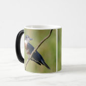 Weiblich gezogener Kingfisher Ausgesteift an der L Tasse (Vorderseite Links)