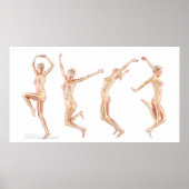 weibliche Anatomie Poster (Vorne)