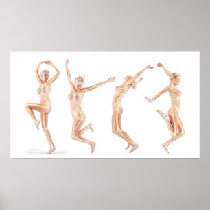 weibliche Anatomie Poster